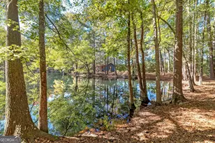 12471 Ga Hwy 109, Meansville, GA 30256 - Photo 49