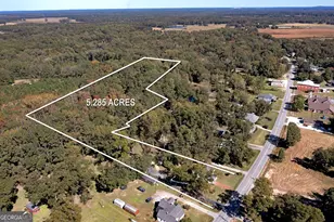 12471 Ga Hwy 109, Meansville, GA 30256 - Photo 67