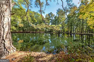 12471 Ga Hwy 109, Meansville, GA 30256 - Photo 47