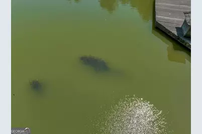 655 McDonough Road, Hampton, GA 30228 - Photo 113