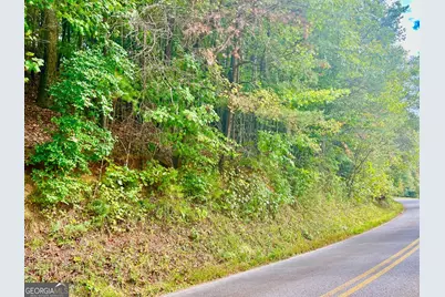 12 Cherokee Drive, Ellijay, GA 30540 - Photo 7