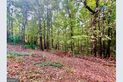 298 Etowah Drive, Ellijay, GA 30540 - Photo 3