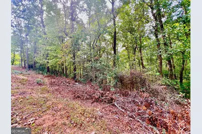 298 Etowah Drive, Ellijay, GA 30540 - Photo 9