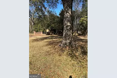 601 Engram Street, Montezuma, GA 31063 - Photo 51