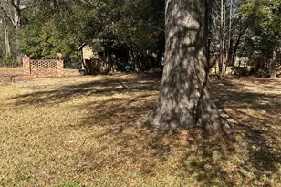 601 Engram St, Montezuma, GA 31063 - Photo 51