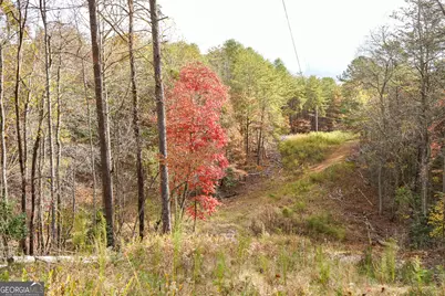 0 Rizzitello Lane, Blairsville, GA 30512 - Photo 15
