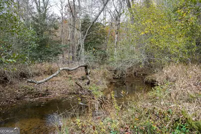 0 Rizzitello Lane, Blairsville, GA 30512 - Photo 21