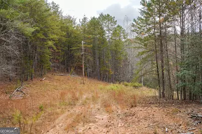 0 Rizzitello Lane, Blairsville, GA 30512 - Photo 19