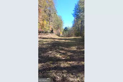 0 Rizzitello Lane, Blairsville, GA 30512 - Photo 25