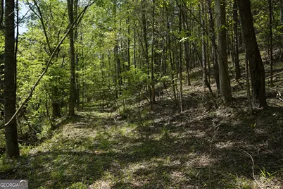 0 Rizzitello Lane, Blairsville, GA 30512 - Photo 9