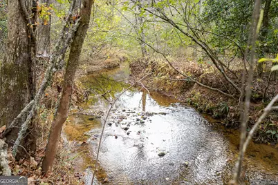 0 Rizzitello Lane, Blairsville, GA 30512 - Photo 11