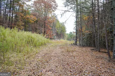 0 Rizzitello Lane, Blairsville, GA 30512 - Photo 17