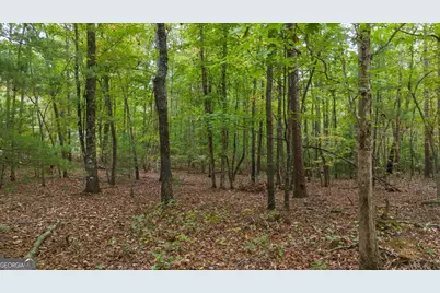 0 Rider Road, Dawsonville, GA 30534 - Photo 1