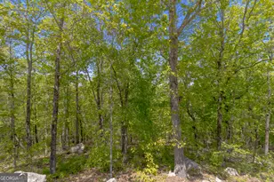 739 Barnes Mill Rd, Hamilton, GA 31811 - Photo 75