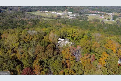 739 Barnes Mill Road, Hamilton, GA 31811 - Photo 5
