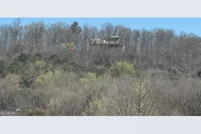 739 Barnes Mill Road, Hamilton, GA 31811 - Photo 91