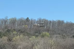 739 Barnes Mill Rd, Hamilton, GA 31811 - Photo 91