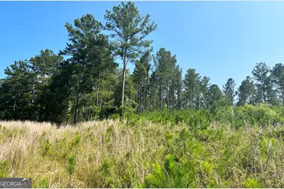 0 Booger Hollow Road, Rome, GA 30161 - Photo 9