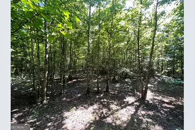 0 Booger Hollow Road, Rome, GA 30161 - Photo 21