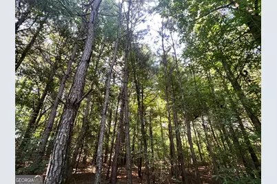 0 Booger Hollow Road, Rome, GA 30161 - Photo 25