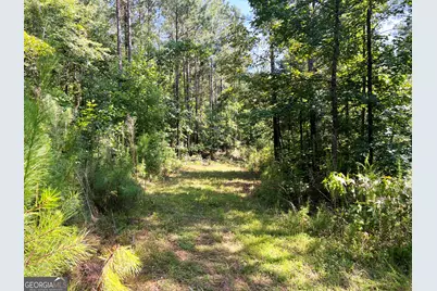 0 Booger Hollow Road, Rome, GA 30161 - Photo 13