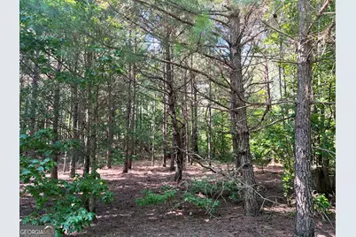0 Booger Hollow Road, Rome, GA 30161 - Photo 23