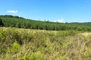 0 Booger Hollow Rd, Rome, GA 30161 - Photo 1