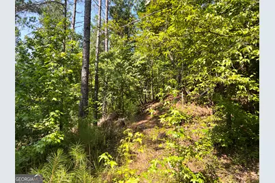 0 Booger Hollow Road, Rome, GA 30161 - Photo 11