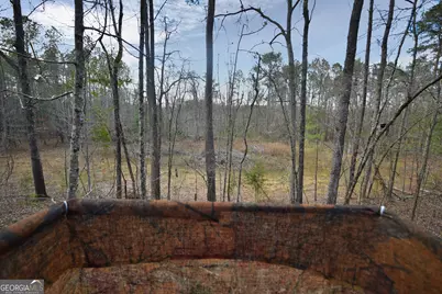 2477 Upper Big Springs Road, Lagrange, GA 30241 - Photo 101