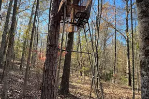 2477 Upper Big Springs Rd, Lagrange, GA 30241 - Photo 9