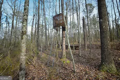2477 Upper Big Springs Road, Lagrange, GA 30241 - Photo 99