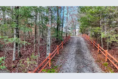 236 William Branch Road, Morganton, GA 30560 - Photo 39