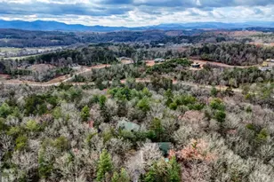 236 William Branch Rd, Morganton, GA 30560 - Photo 63