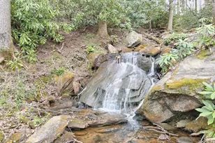 115 Dam Lake Dr, Dillard, GA 30537 - Photo 13