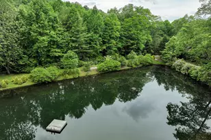 115 Dam Lake Dr, Dillard, GA 30537 - Photo 11