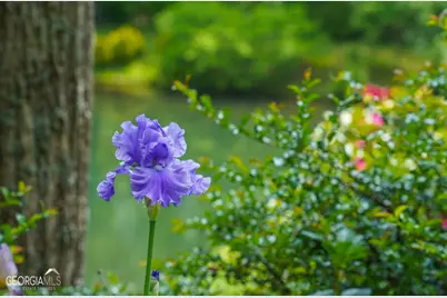 115 Dam Lake Drive, Dillard, GA 30537 - Photo 17