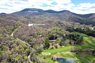 115 Dam Lake Dr, Dillard, GA 30537 - Photo 19