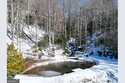 115 Dam Lake Drive, Dillard, GA 30537 - Photo 109