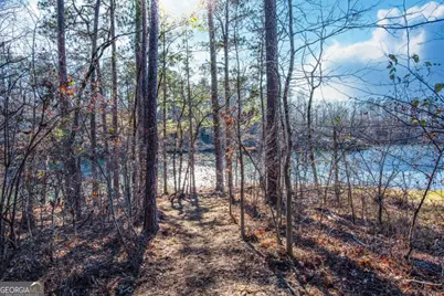 0 Hickory Pass, Sparta, GA 31087 - Photo 9