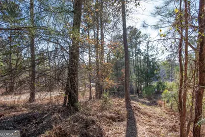 0 Hickory Pass, Sparta, GA 31087 - Photo 33