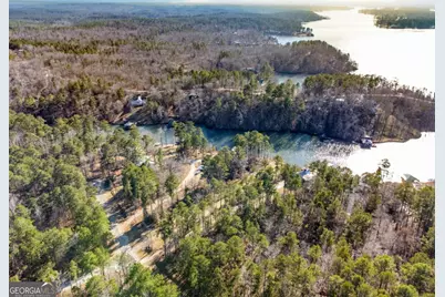 0 Hickory Pass, Sparta, GA 31087 - Photo 15