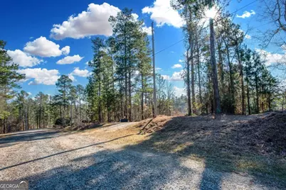 0 Hickory Pass, Sparta, GA 31087 - Photo 31