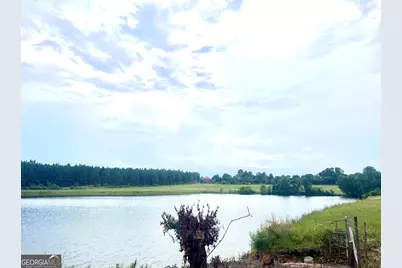 238 Wilson Woodard Road, Eastman, GA 31023 - Photo 93