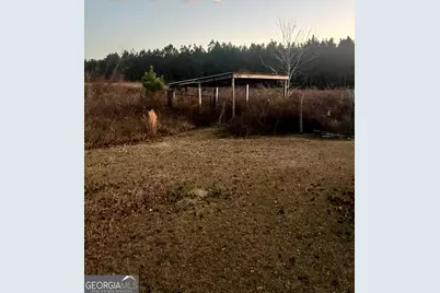 238 Wilson Woodard Road, Eastman, GA 31023 - Photo 7