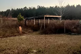 238 Wilson Woodard Rd, Eastman, GA 31023 - Photo 7