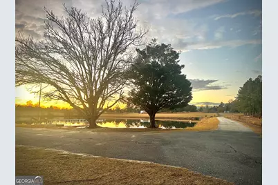 238 Wilson Woodard Road, Eastman, GA 31023 - Photo 19