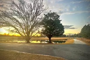 238 Wilson Woodard Rd, Eastman, GA 31023 - Photo 19