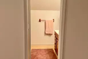 238 Wilson Woodard Rd, Eastman, GA 31023 - Photo 79