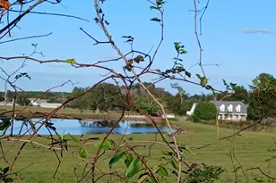 238 Wilson Woodard Rd, Eastman, GA 31023 - Photo 103