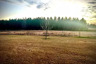 238 Wilson Woodard Rd, Eastman, GA 31023 - Photo 15